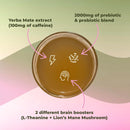 Yerba Magic — Polvo Instantáneo de Té de Yerba Mate